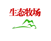 女人养生茶配方大全及功能，装之前先看这几处